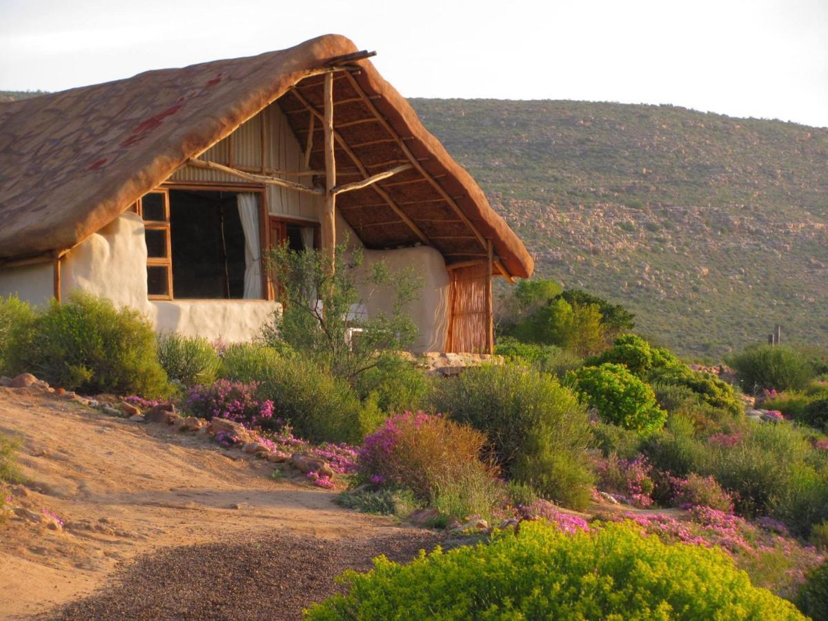 Oudrif Farm Villa Клануилям Екстериор снимка