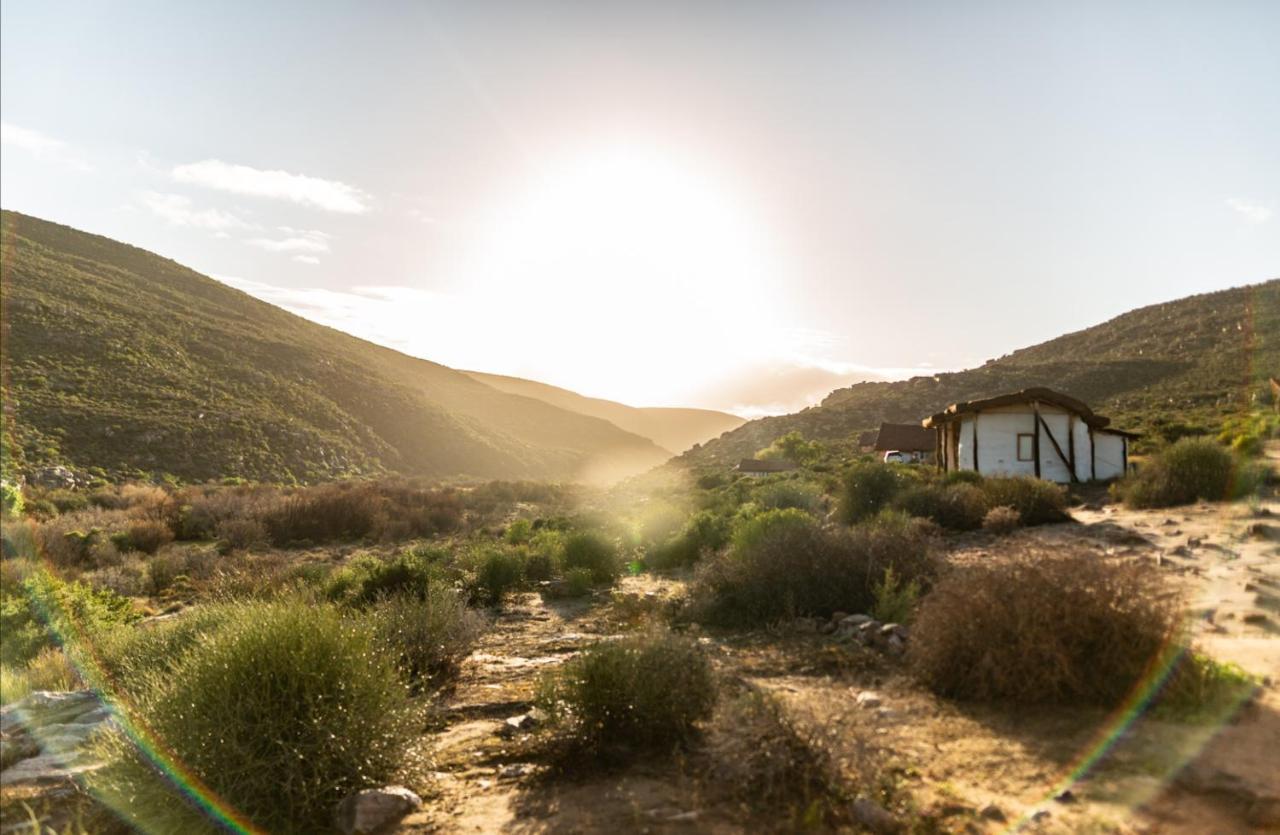 Oudrif Farm Villa Клануилям Екстериор снимка