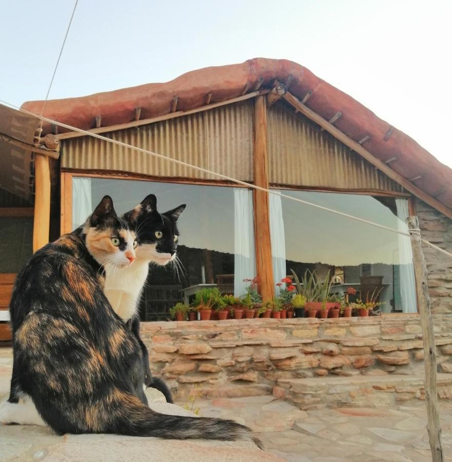 Oudrif Farm Villa Клануилям Екстериор снимка